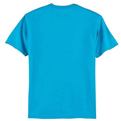 Adro Stay Wild Design Printed T-Shirt For Men (Rnr-S36-Sww-Mi_Mint_Xl)