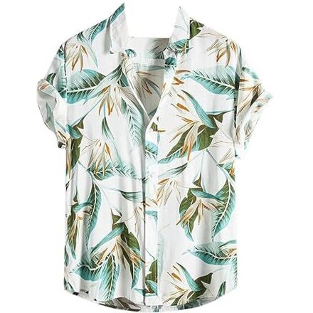 Dhruvi Trendz Mens Rayon Men's Casual Shirt Regular Fit Western (Dt-Ms-6046_White_L)