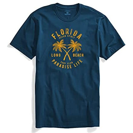 Adro Florida Paradise Life Mens Printed T-Shirt (Xl, Steel Blue)
