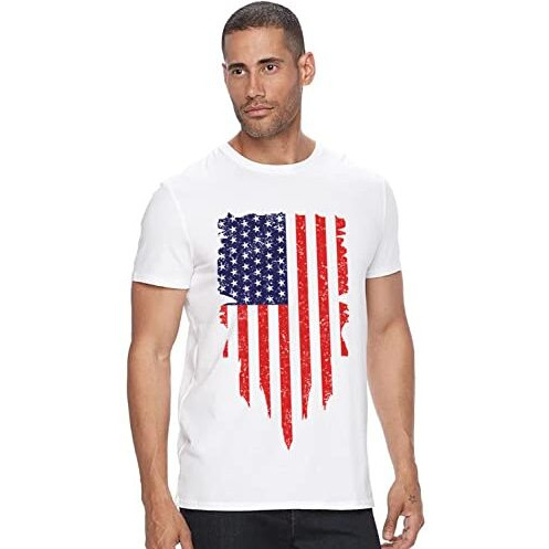 Adro Men's Usa Printed Cotton T-Shirt (Rn22-2-Uss-Wh_White_L)