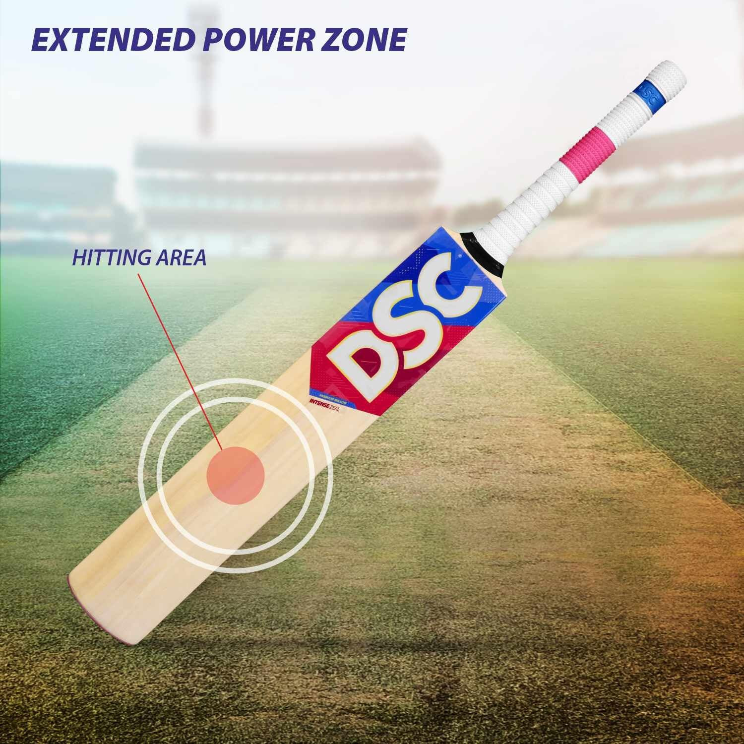 DSC Intense Zeal Kashmir Willow Cricket Bat for Leather Ball |Size- Harrow | Light Weight | Ready to Play| Free Cover|