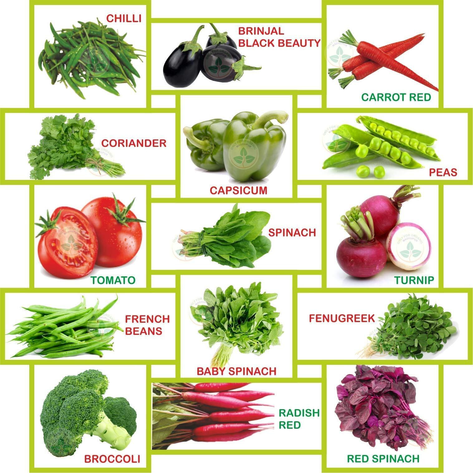 Only For Organic Fifteen Winter Vegetable Seeds(6700+ Seeds)With Cocopeat Block & Instruction Manual