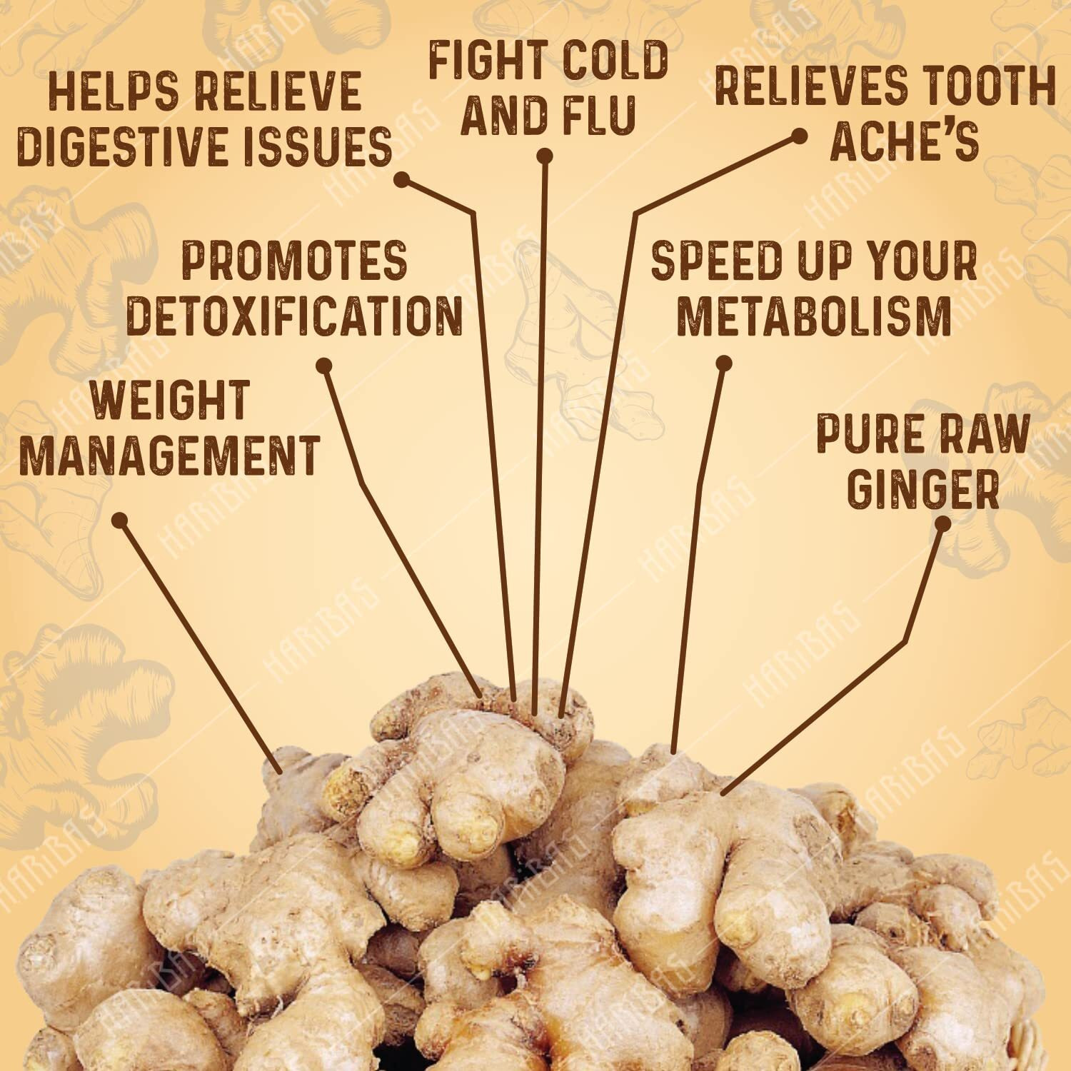 Dry Ginger Powder Organic 50g Ginger Powder - Sonth Dry Ginger Powder - Adrak Powder in Pantry- 50G (Adrak Powder/Ginger Powder) Flavourfull for Cooking, Natural Immunity Booster