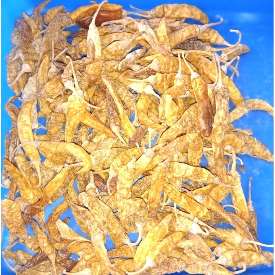 Mor Milagai/Curd Chillies dry/Curd dip sun dried Chillies/Butter milk sun dried Chilli - Salted/Varum Mirapakayalu - 100 grams