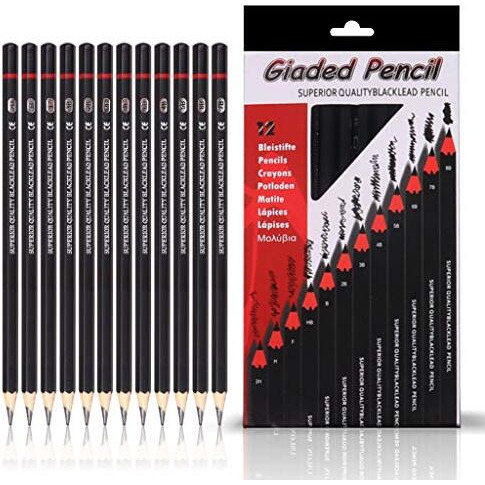 ABOUT SPACE Professional Shading & Drawing Pencils Set - (12 Lead Pencils) Assorted Gray-Black Sketching Pencils of 12 Shades for Artists, Students, Beginners - (B,2B,3B,4B,5B,6B,7B,8B,HB,H,2H & F)