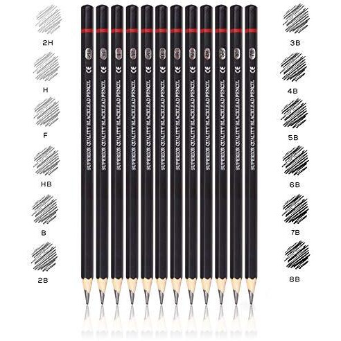 ABOUT SPACE Professional Shading & Drawing Pencils Set - (12 Lead Pencils) Assorted Gray-Black Sketching Pencils of 12 Shades for Artists, Students, Beginners - (B,2B,3B,4B,5B,6B,7B,8B,HB,H,2H & F)