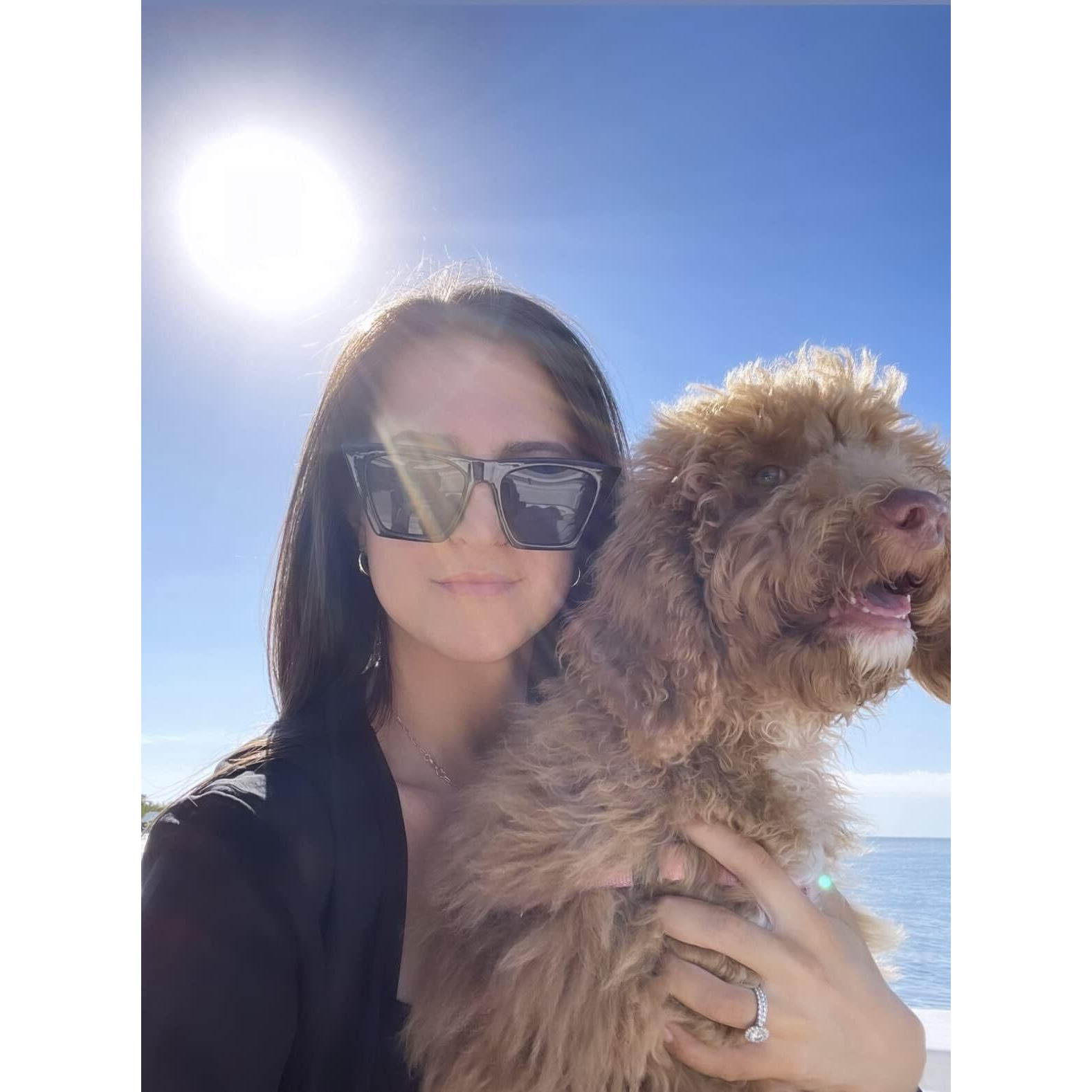 FEISEDY Oversized Vintage Cat Eye Square Sunglasses Women Trendy Cateye Sunglasses B2473 - Non-Polarized Black