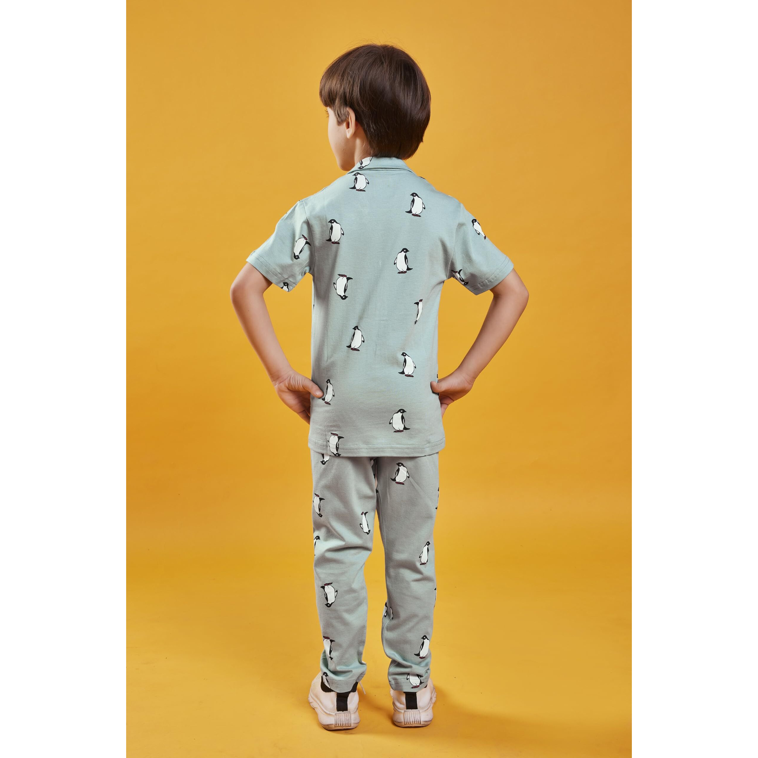 3BROS Unisex Pure Cotton Short Sleeve Kids Night Dress for Boys & Girls Nightwear/Sleepsuit/Loungewear Night Suit/Top and Pyjama Combo Set (Green) (2-3 Years) | JB20HS6031_223_55