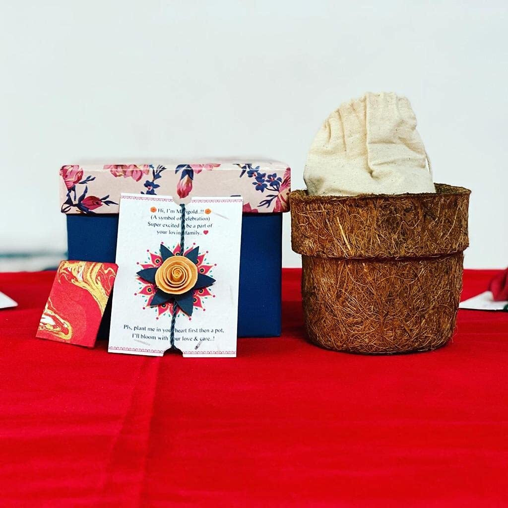 Plantable Seed/Bio/Eco-friendly Handmade Rakhi for Rakshabandhan - (Marigold)