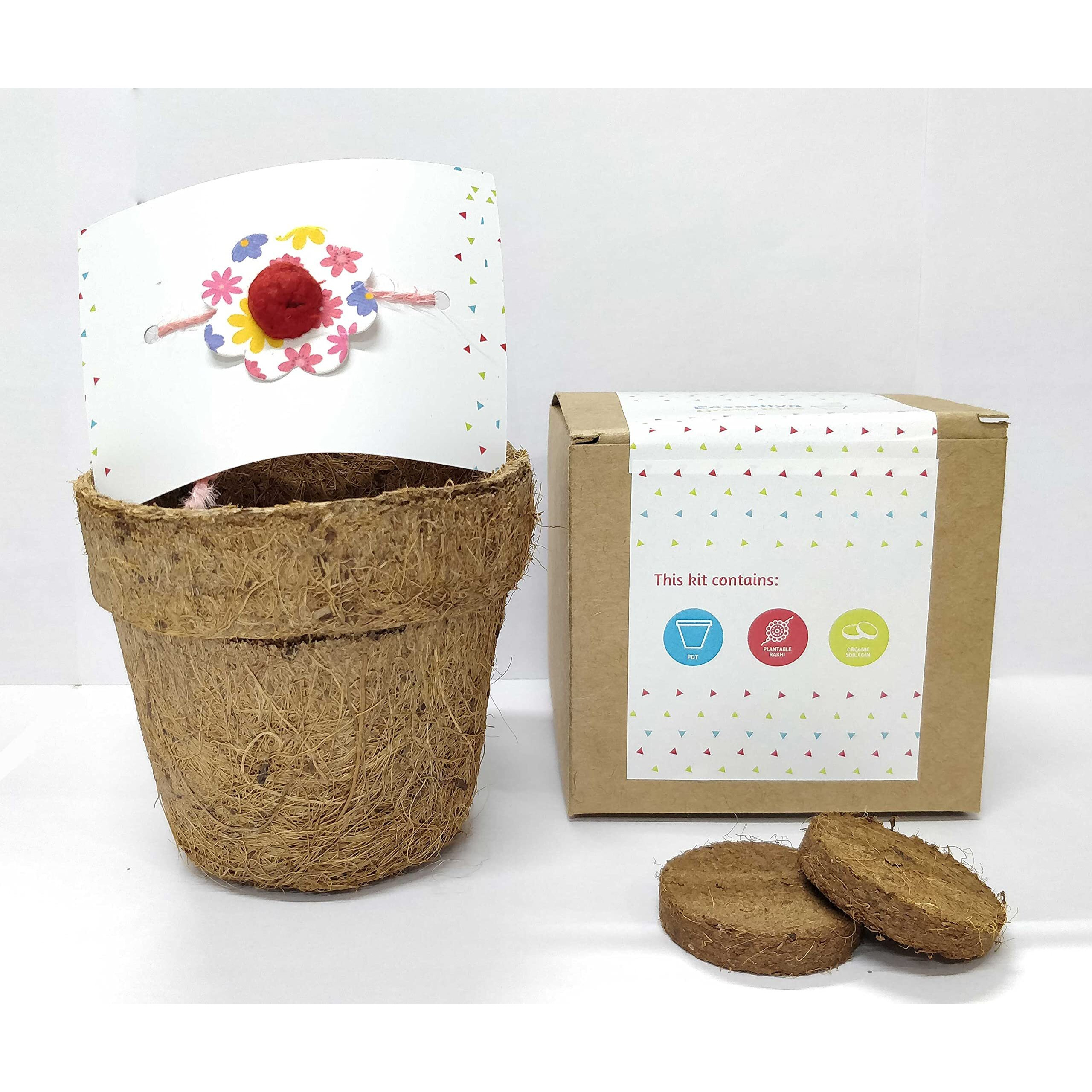 Ecosattva Grow Your Own Plant Kit for Rakshabandhan Gifting with Plantable Rakhi