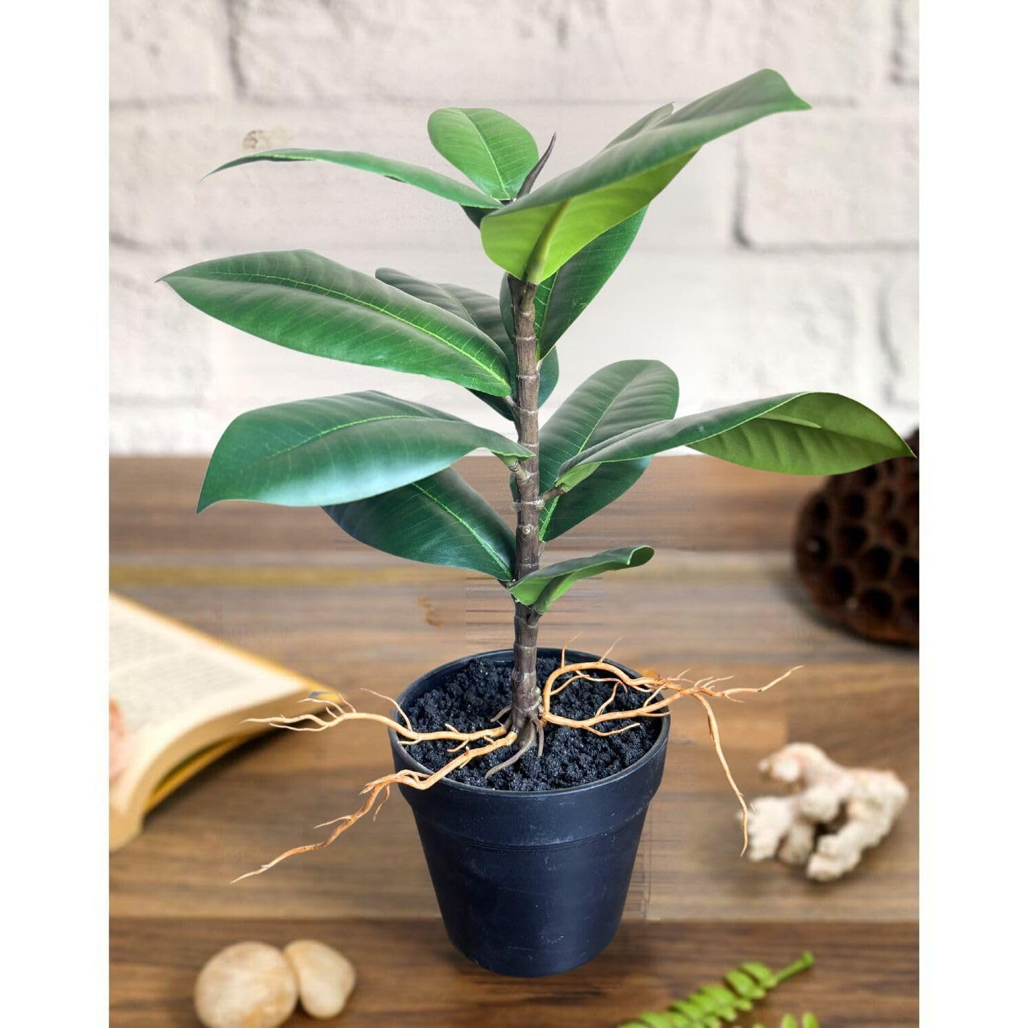 SATYAM KRAFT 1 Pc Artificial Rubber Plant with Vase Display for Home Decor,Room,Balcony,Welcome Decoration Item,Realistic Look for Gifting,Ganpati Decoration,Raksha Bandhan (with Vase)