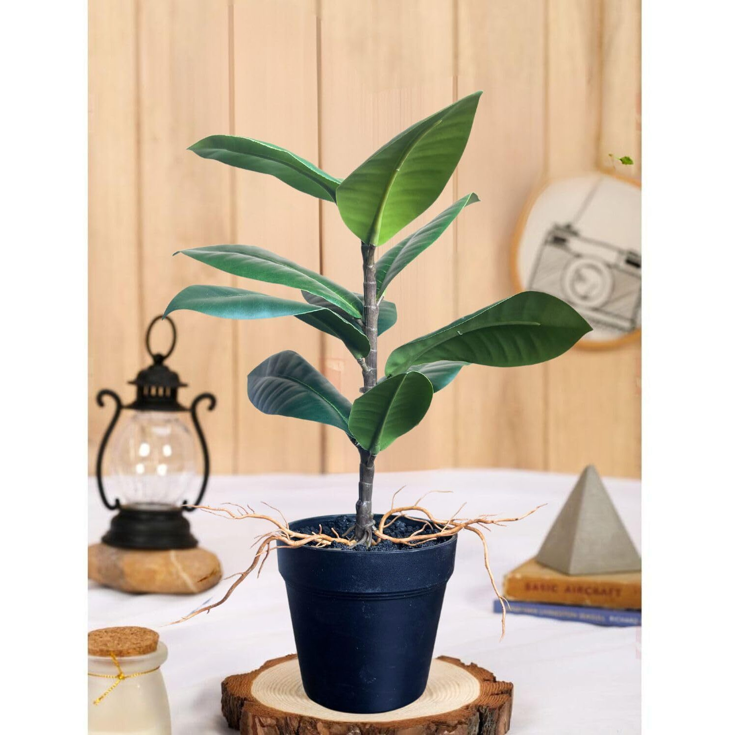 SATYAM KRAFT 1 Pc Artificial Rubber Plant with Vase Display for Home Decor,Room,Balcony,Welcome Decoration Item,Realistic Look for Gifting,Ganpati Decoration,Raksha Bandhan (with Vase)