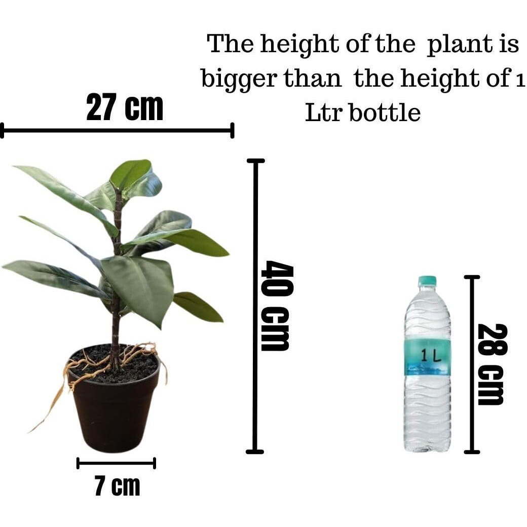 SATYAM KRAFT 1 Pc Artificial Rubber Plant with Vase Display for Home Decor,Room,Balcony,Welcome Decoration Item,Realistic Look for Gifting,Ganpati Decoration,Raksha Bandhan (with Vase)