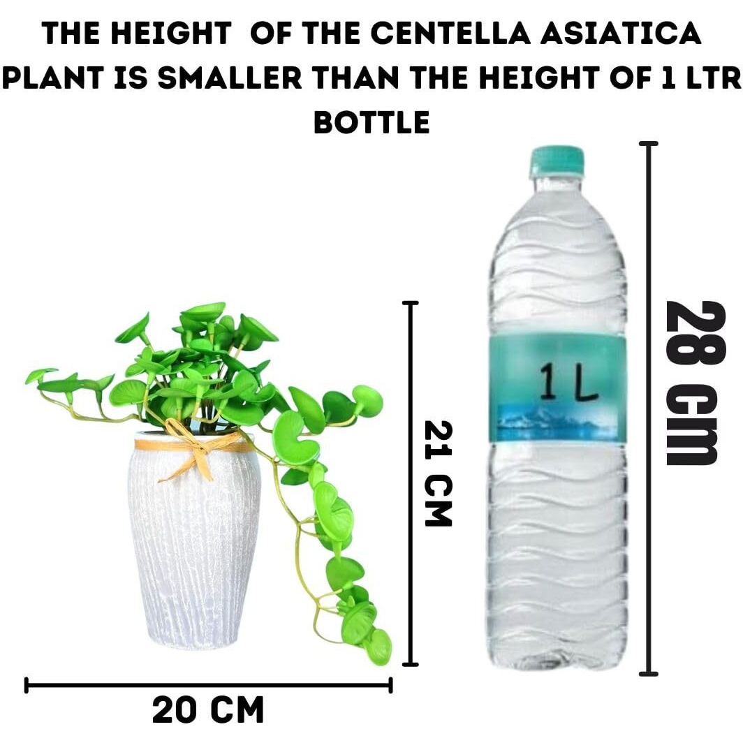 SATYAM KRAFT 1 Pc Artificial Centella Asiatica Plant with Vase Display for Home Decor, Room, Welcome Decoration Item,Realistic Look for Gifting, Ganpati Decoration, Raksha Bandhan (with Vase)(Color 9)