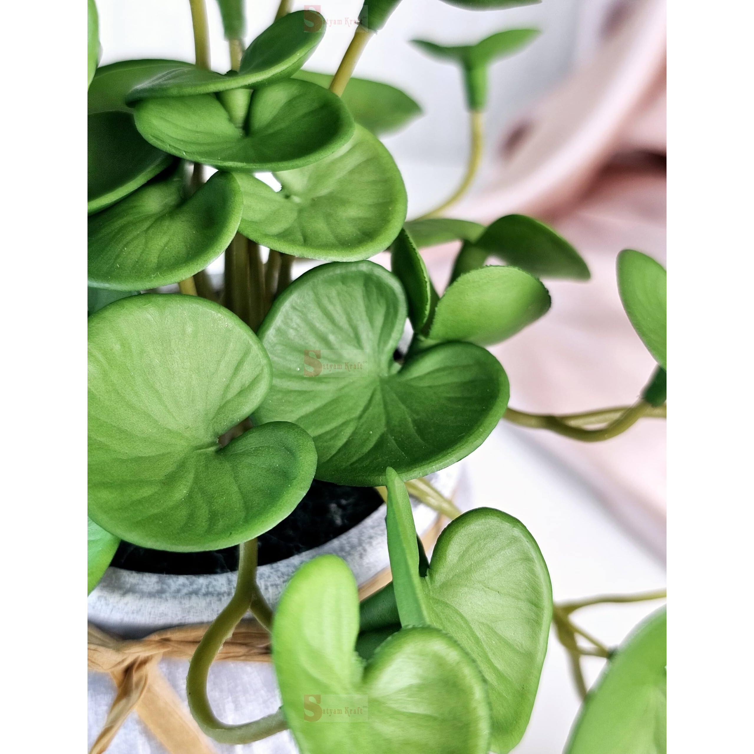 SATYAM KRAFT 1 Pc Artificial Centella Asiatica Plant with Vase Display for Home Decor, Room, Welcome Decoration Item,Realistic Look for Gifting, Ganpati Decoration, Raksha Bandhan (with Vase)(Color 9)