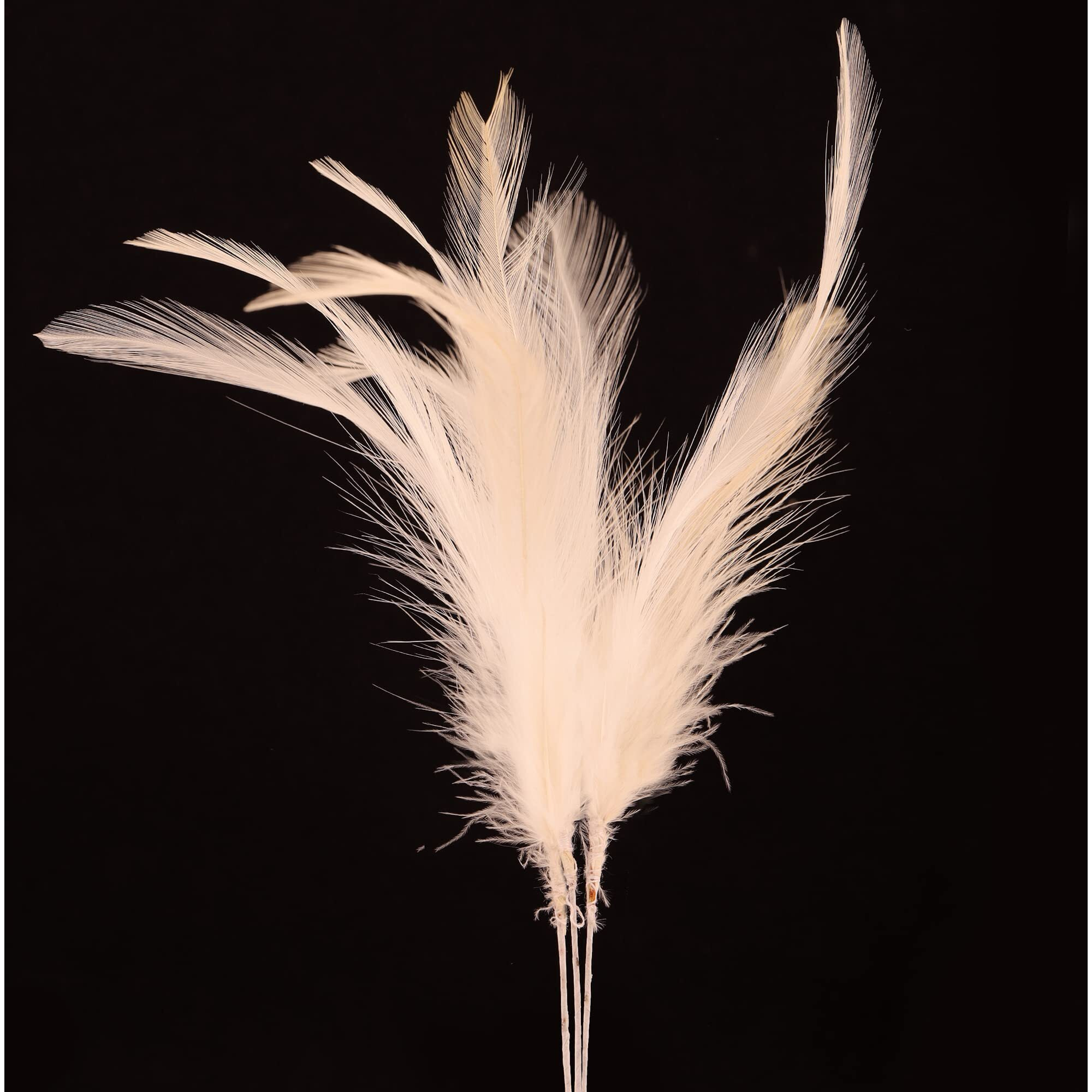 Sanjog Multi-Color Feather for Men Groom Safa Kalangi Decoration/Craft Gift For Men - Perfect for Ethnic | Wedding and Party Attire