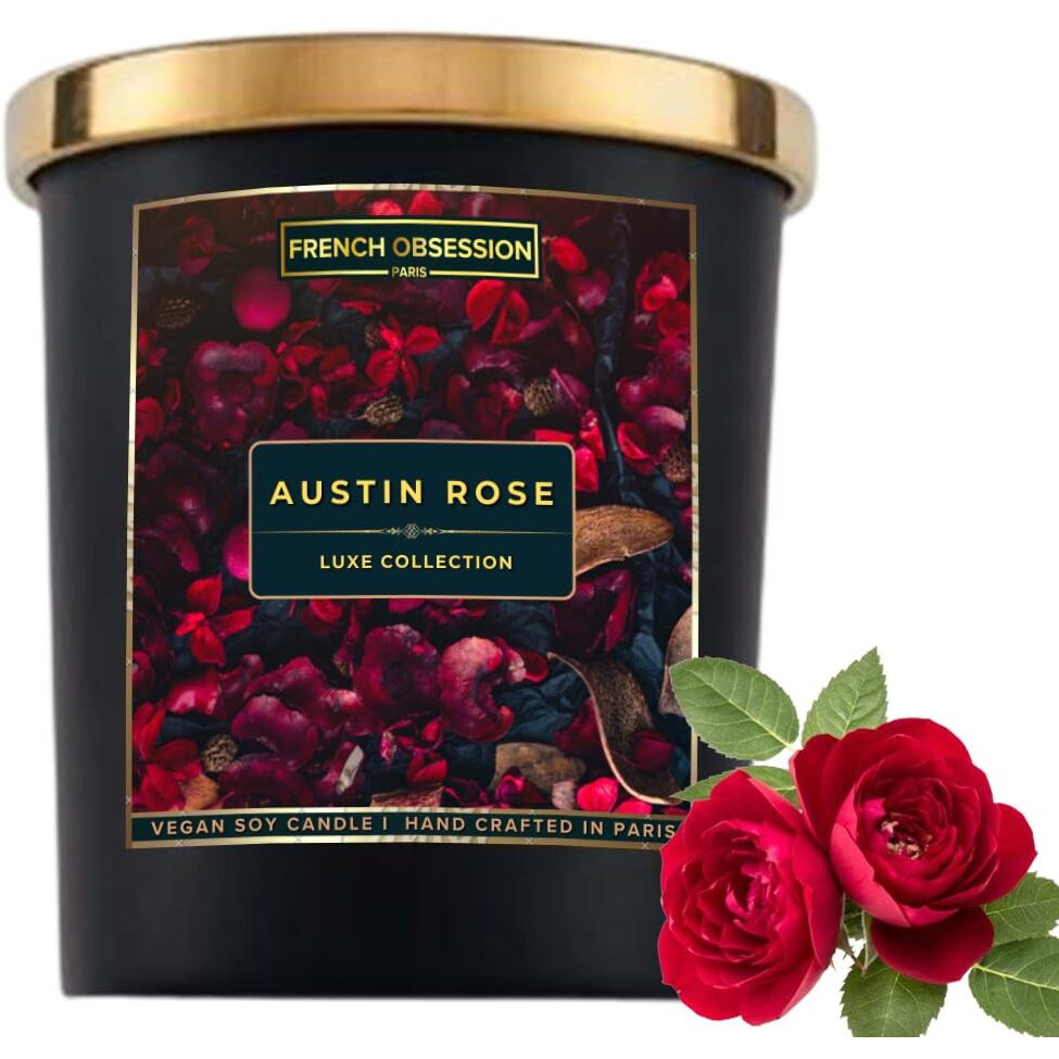 French Obsession Scented Candles for Home decor, Bedroom| Scented Candle Gift Set for Wife, Girlfriend|560gm|Burn 60+Hrs | Aroma Therapy Candles| Fragrance Candles for Home | Rose Scent