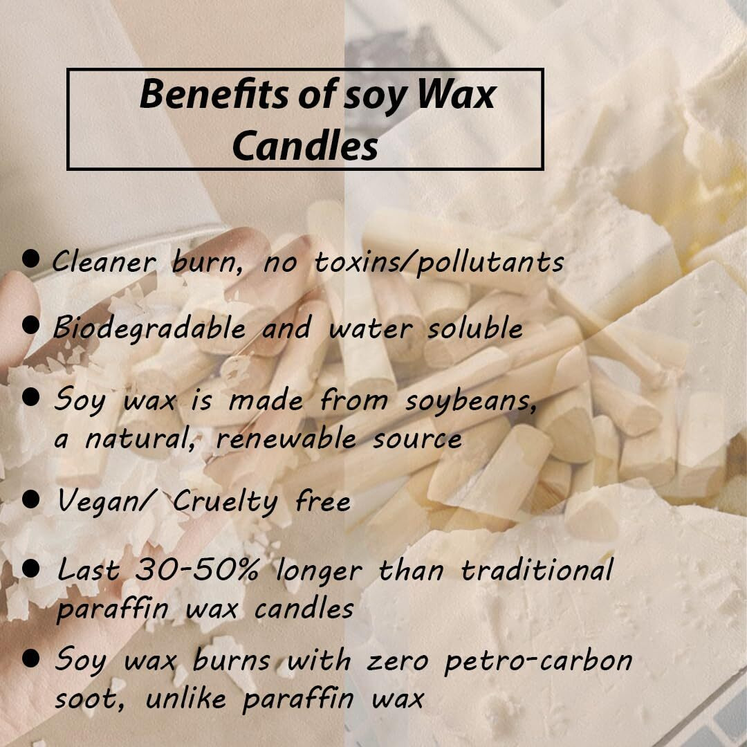 French Obsession Scented Candles for Home Decor, Bedroom| Scented Candle Gift Set for Wife, Girlfriend|560 gm| Burn 60+Hrs | Aroma Therapy Candles| Fragrance Candles for Home | Sandalwood