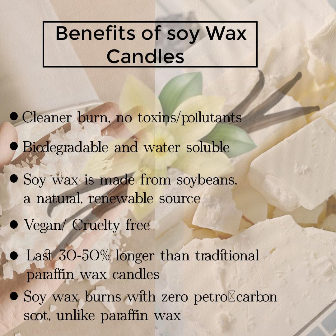 French Obsession Scented Candles for Home decor, Bedroom| Scented Candle Gift Set for Wife Girl| 560 gm| Burn 60+ Hrs | Aroma Therapy Candles| Fragrance Candles for Home | Fragrance Vanilla