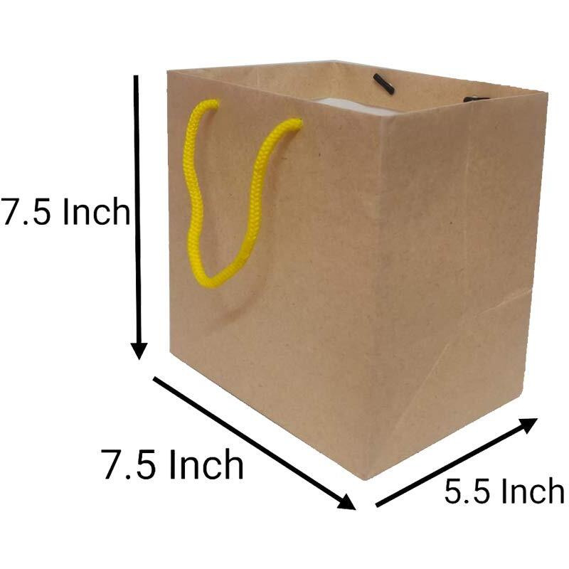 Flute Cubes Presents 2 Container Food Parcel/Mithai/Sweets - Brown Eco Friendly Gift Paper Bag, (Size 7.5 x 7.5 x 5.5 - inch) Pack of 10