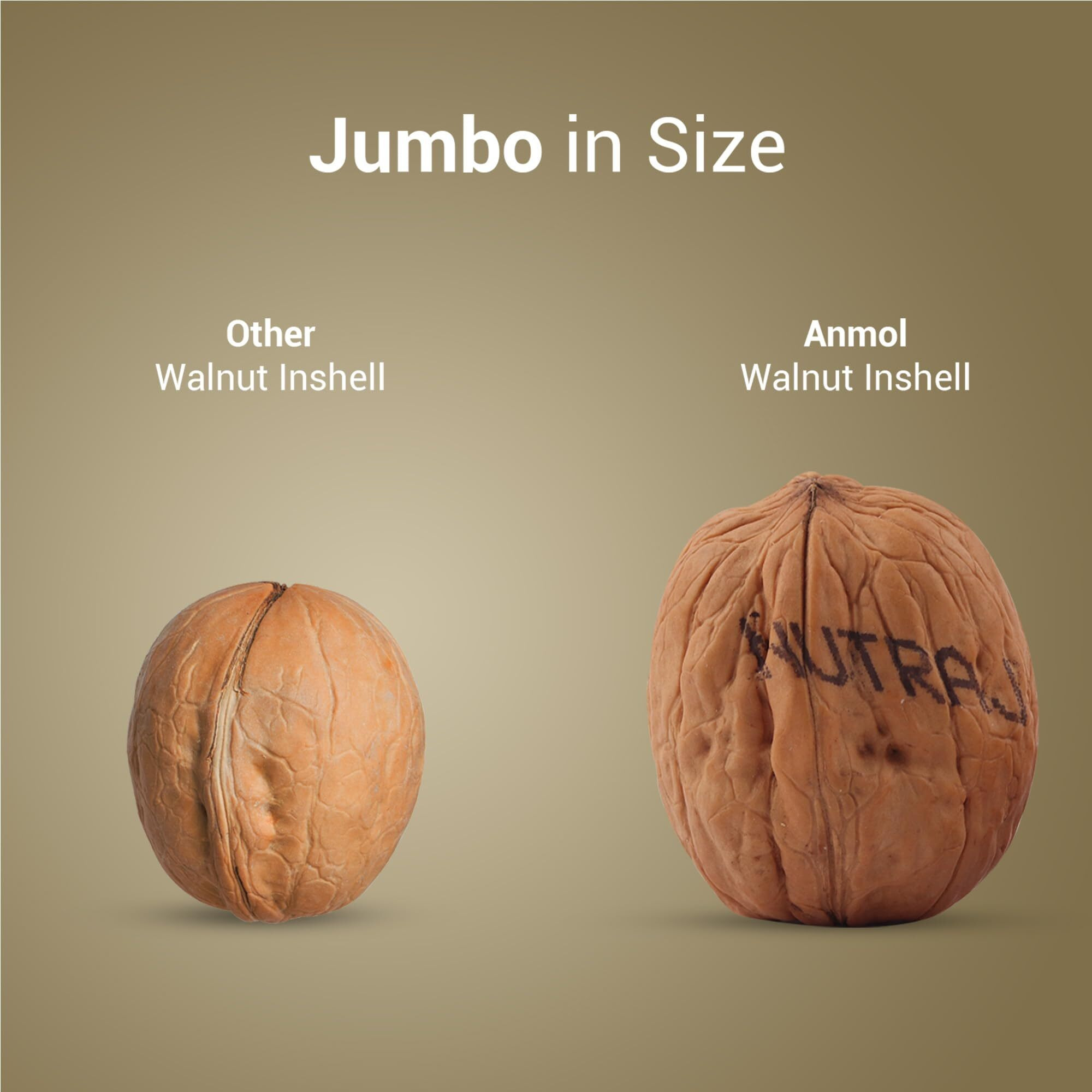 Nutraj Anmol Indian Walnut Inshell (Akhrot) 1Kg Box | Dry Fruits & Nuts | Crunchy Walnuts