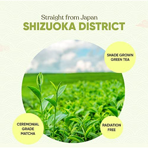 The Tea Shelf, Japanese Premium Ceremonial Matcha Tea Powder | 100% Authentic | Rich Antioxidants, Natural Energy | Authentic Matcha Tea Sourced From Shizuoka| Ideal for Lattes & Smoothies - 30g