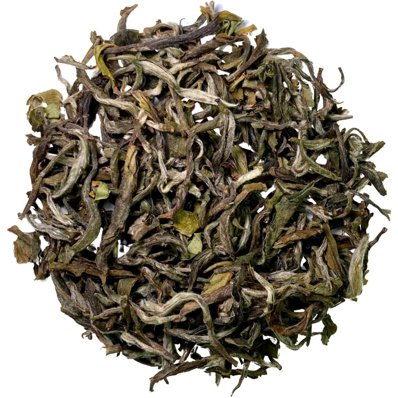 ZYANNA White Tea - High In Antioxidants, Delicate Aroma, Versatile Brewing - Boost Your Well-Being With This Exquisite And Refreshing Beverage - (White, 100Gm), Loose