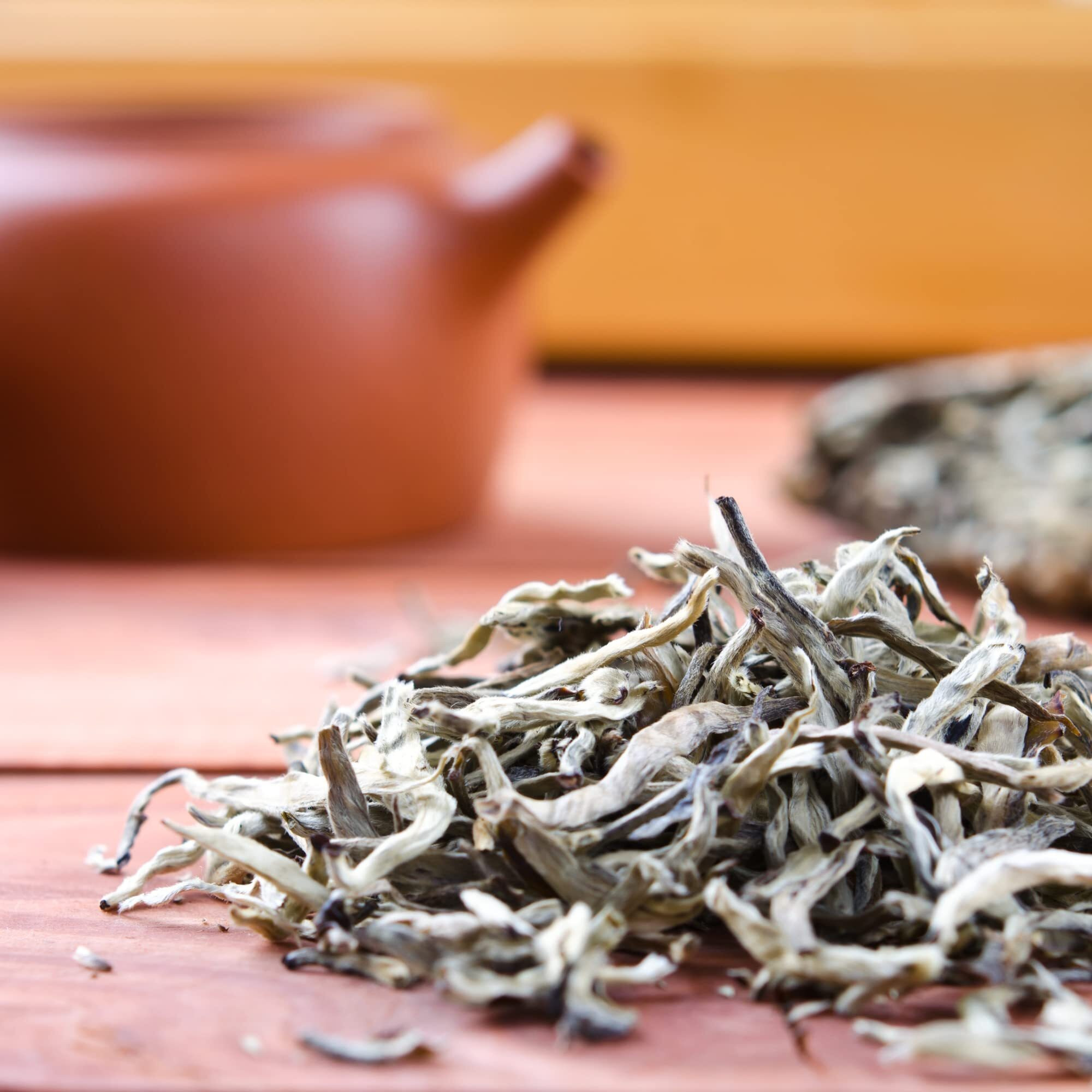 ZYANNA White Tea - High In Antioxidants, Delicate Aroma, Versatile Brewing - Boost Your Well-Being With This Exquisite And Refreshing Beverage - (White, 100Gm), Loose