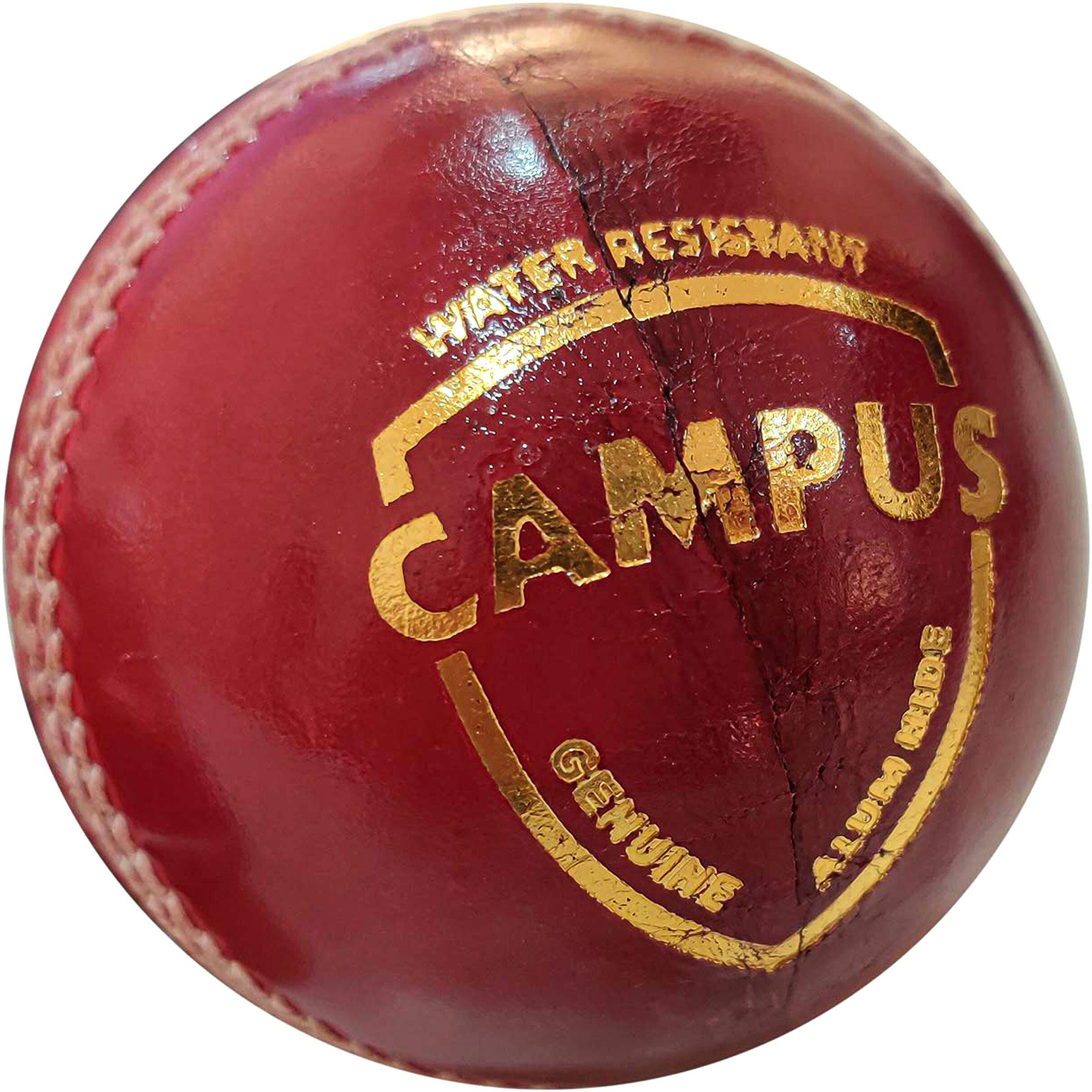 SG campus four piece leather cricket ball - red