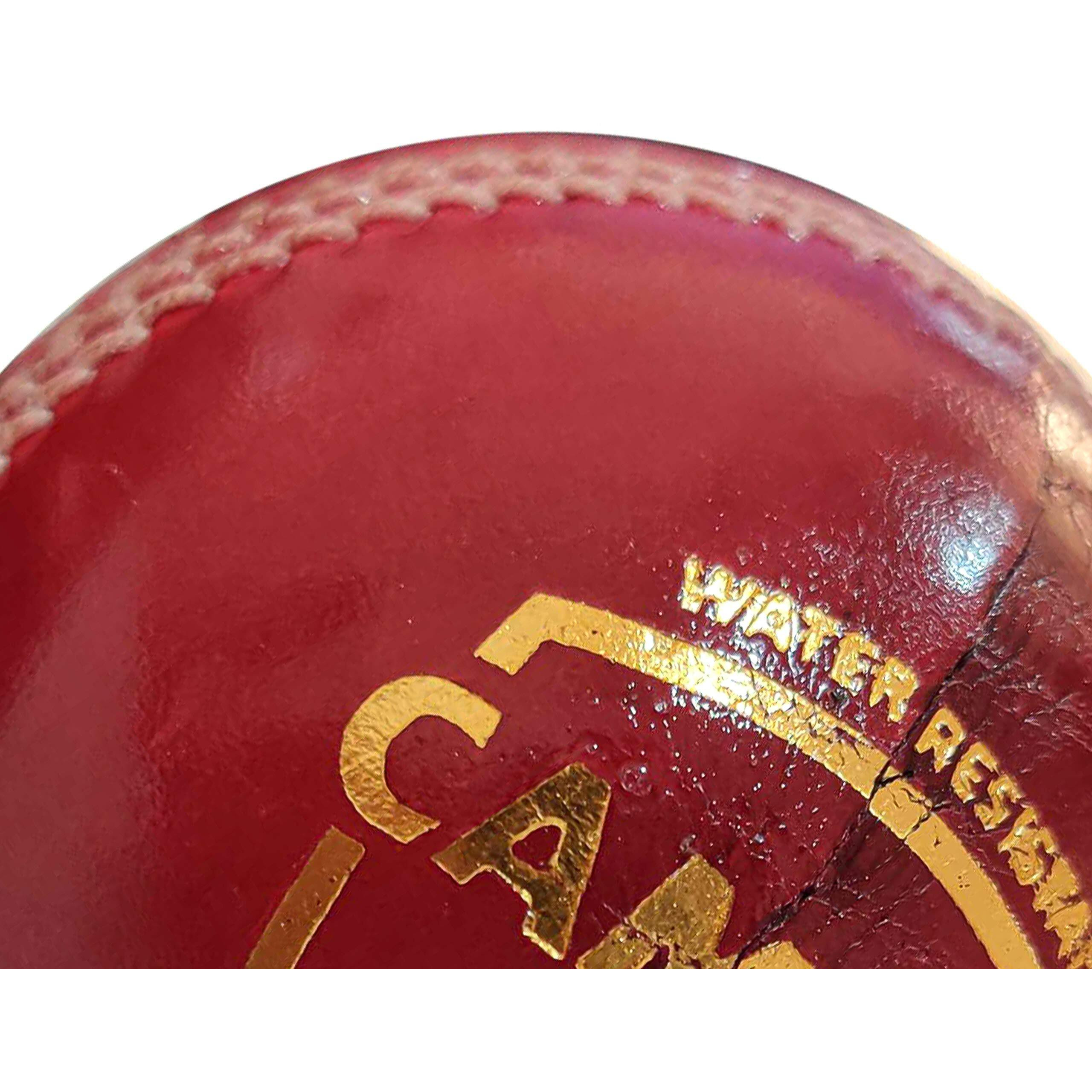SG campus four piece leather cricket ball - red