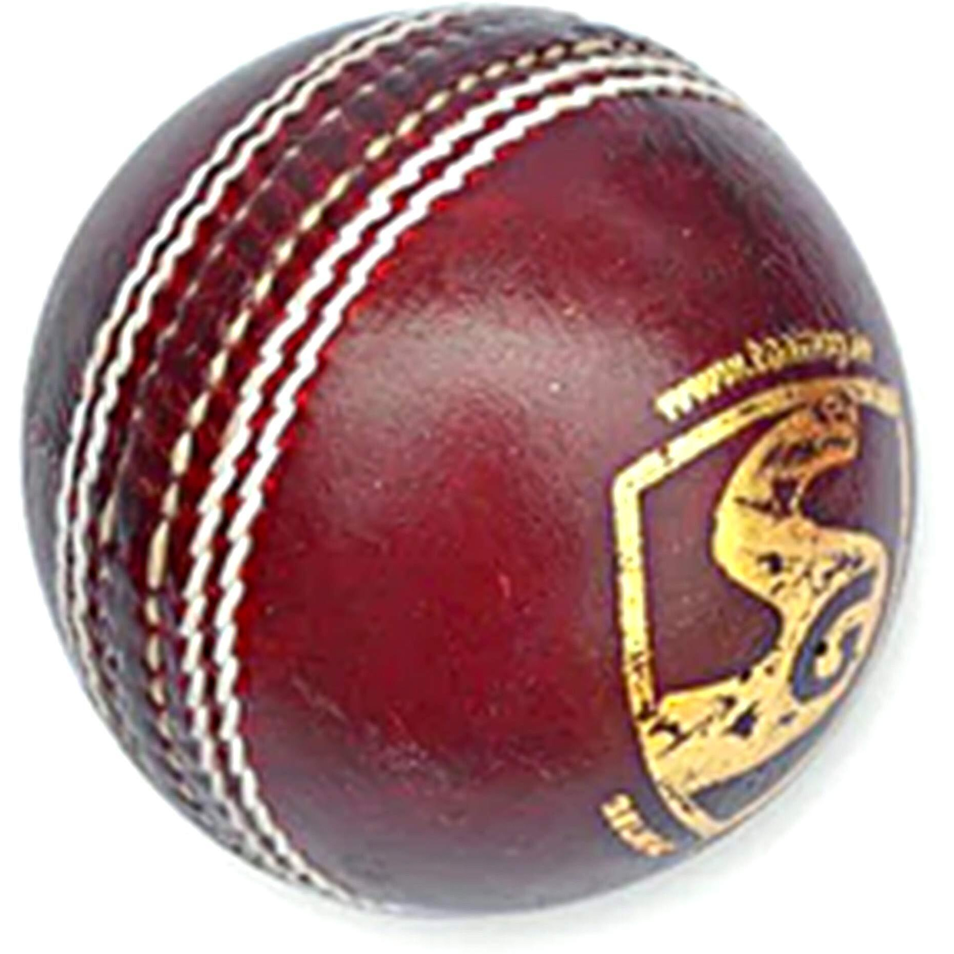 SG campus four piece leather cricket ball - red