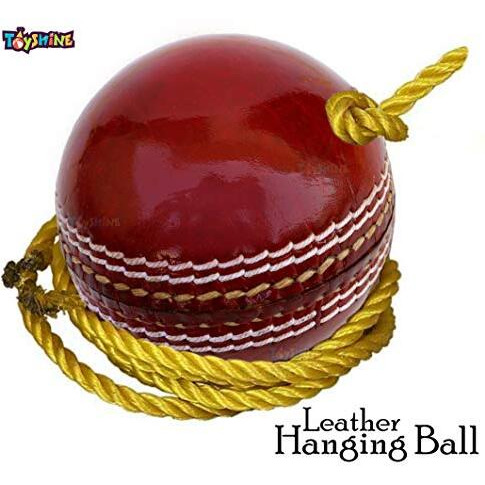 Toyshine Cricket Hanging Ball For Shot Practice, (Leather, Sstp, Red)