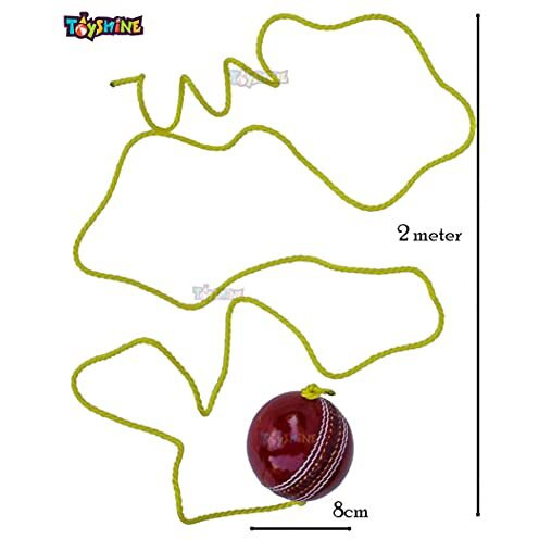 Toyshine Cricket Hanging Ball For Shot Practice, (Leather, Sstp, Red)