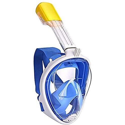 TRAY Snorkel Mask with Latest Dry Top Breathing System,Fold 180 Degree Panoramic View Full Face Snorkel Mask Anti-Fog Anti-Leak with Camera Mount,Snorkeling Gear for Adults Kids (Gray, L XL)
