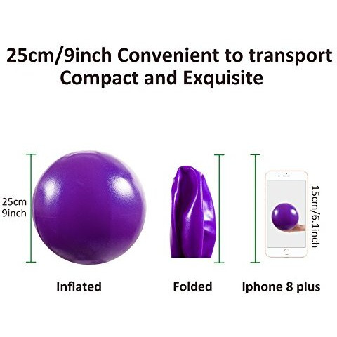 AB SALES Mini Yoga Pilates Ball, Exercise Ball, 9 Inch Bender with Inflatable Straw for Barre, Physical Therapy, Stability, Stretching, Core Training Exercise Gym Improves Balance, Strength, Purple