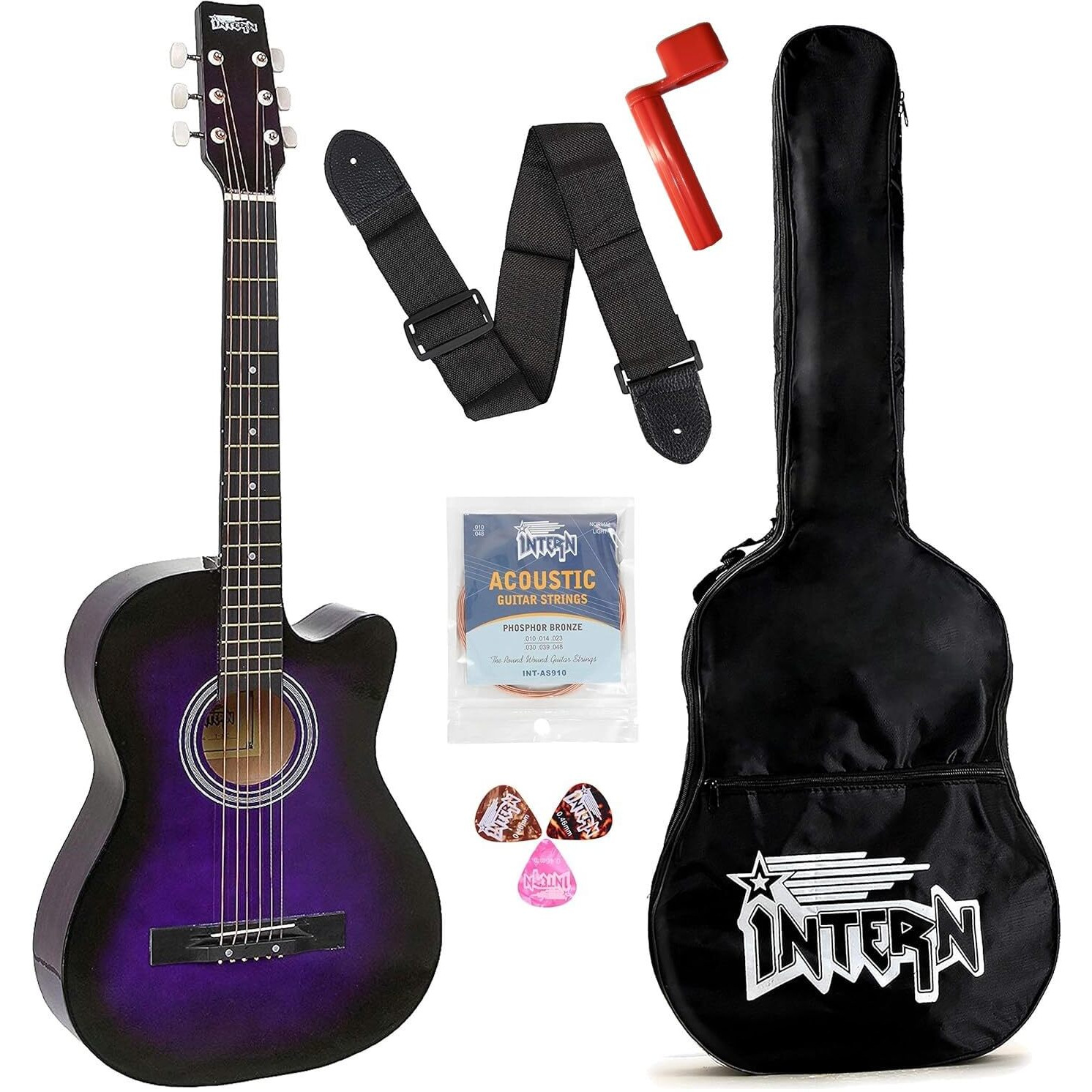 Intern INT-38C Acoustic Guitar Kit (Purple)