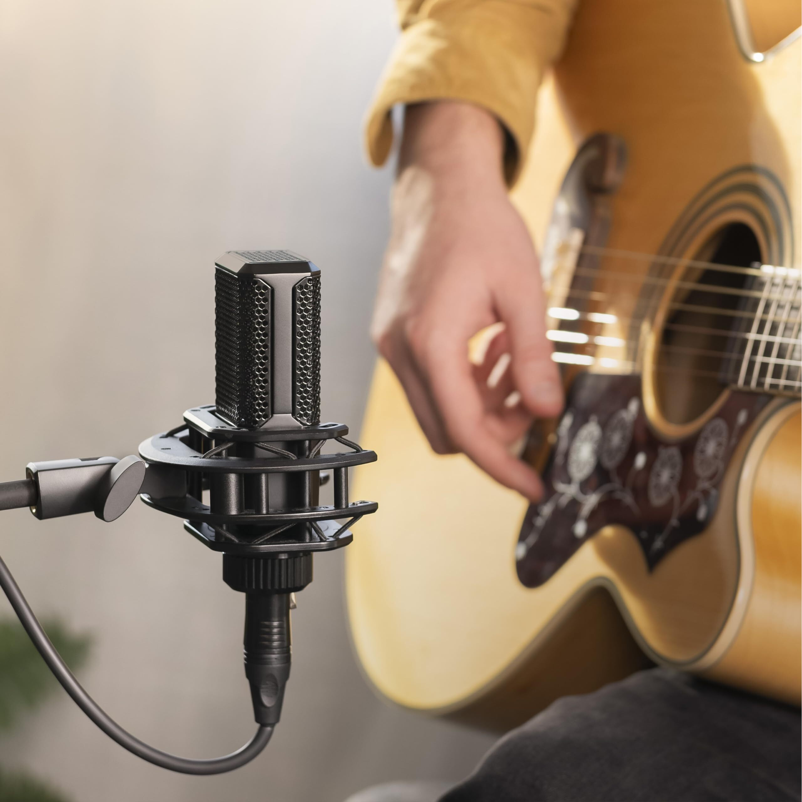 Lewitt LCT 240 PRO Condenser Microphone Shock Mount, Magnetic Pop Filter and Windscreen, Black (Vocal Set)