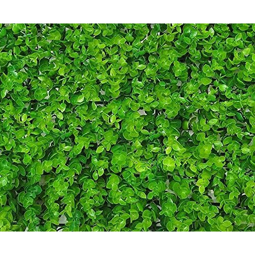 Golden Cart Plastic Artificial Wall Grass For Home Decoration (3 Pcs) I Grass Mat For Wall I Vertical Garden Artificial Plants (Light Green, 60Cm X 40Cm X 8Cm, Pack Of 3)