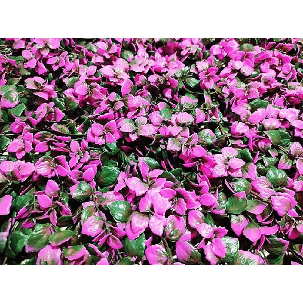 Golden Cart Artificial Wall Grass For Home Decoration (4 Pcs) I Grass Mat For Wall I Vertical Garden Artificial Plants (Purplish Pink, 50Cm X 50Cm X 8Cm, Pack Of 4)