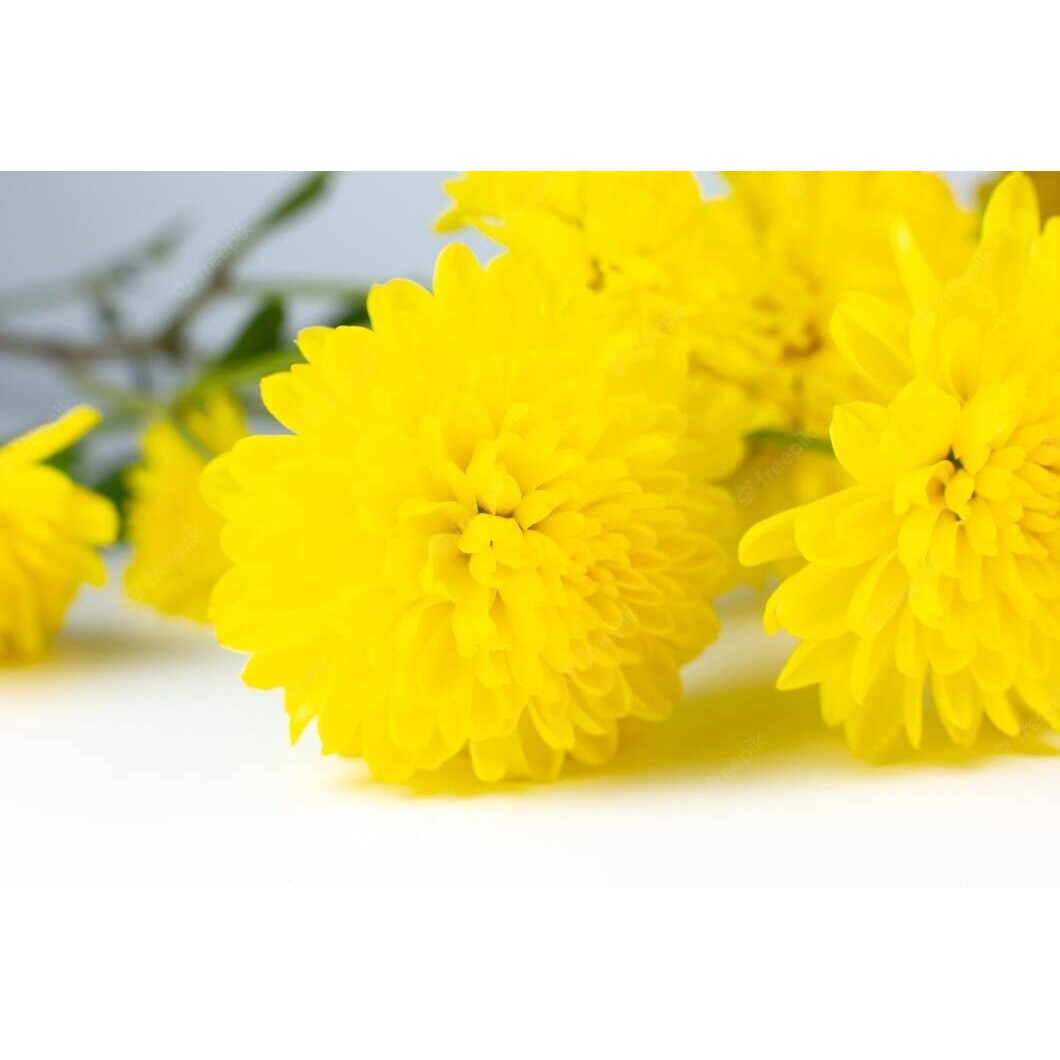 Satyam Kraft Pcs Artificial Chrysanthemum Hydrangea Ball Flower Sticks For Home, Office, Bedroom, Balcony, Living Room, Wedding & Craft Decoration (Fabric, Without Vase) (5, Yellow)