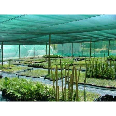 Home Buy Stabilized Agro Green House Net Garden Shade - 50% 2Mx50M (6.5Ft X 164Ft) - Green