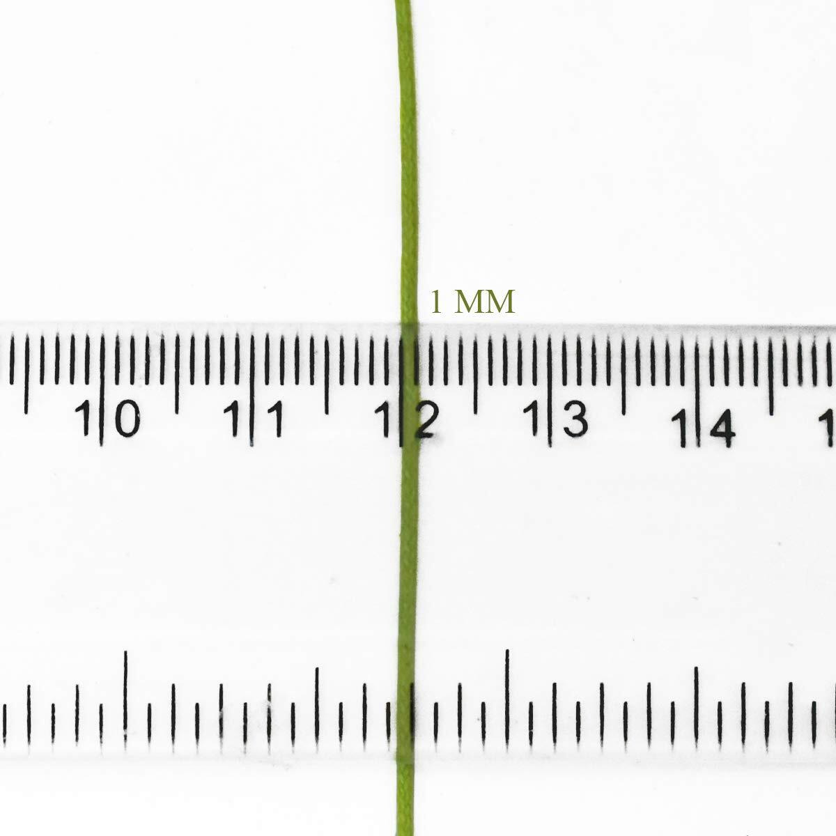 Embroiderymaterial Cotton Wax Thread Cord For Jewellery And Craft Making Purpose Parrot Green Color 90 Meter 1Mm