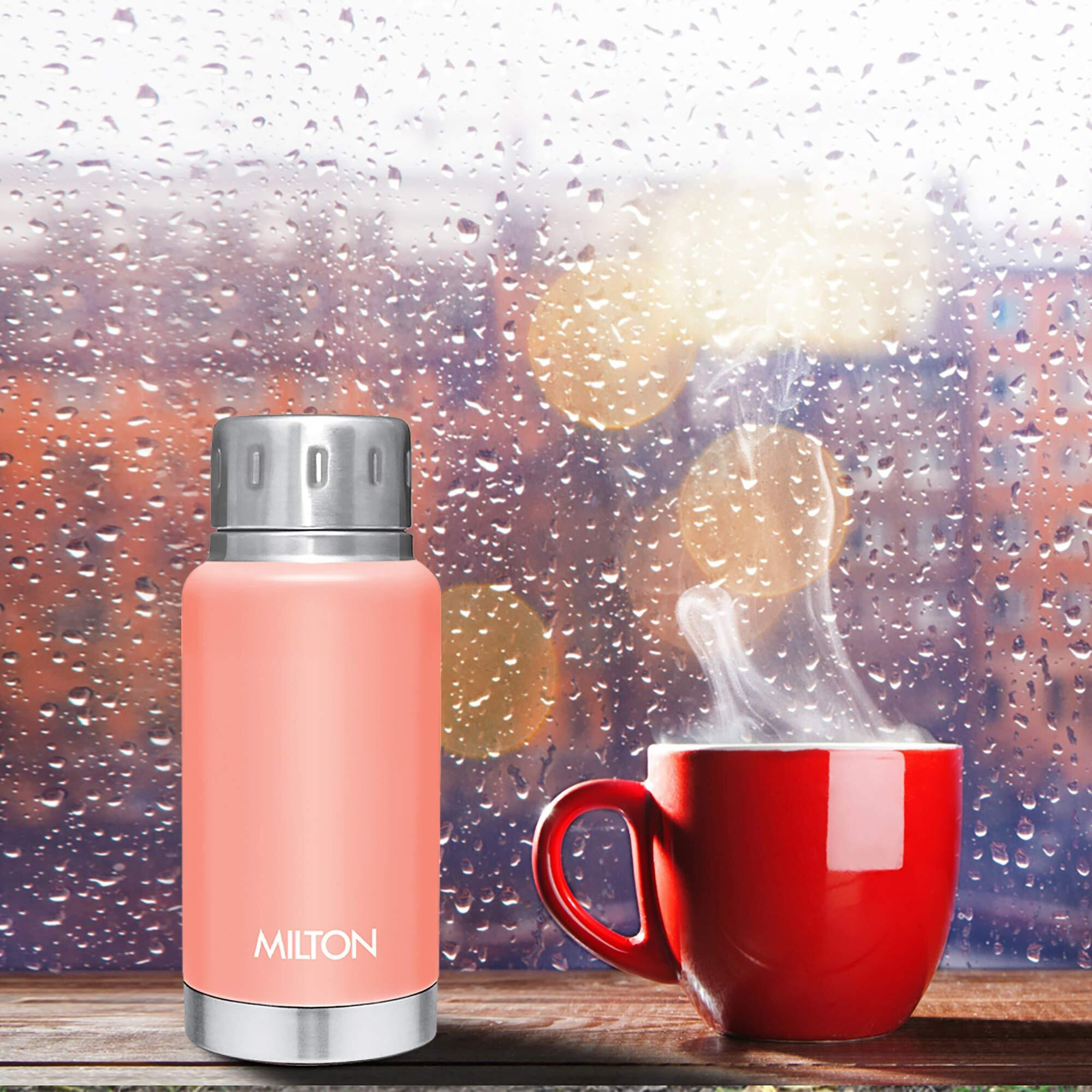 Milton Elfin 160 Thermosteel Bottle, 160 Ml Water Bottles, 24 Hours Hot And Cold, Easy To Carry, Easy Grip, Rust Proof, Tea, Coffee, Office, Travel Bottle, Peach