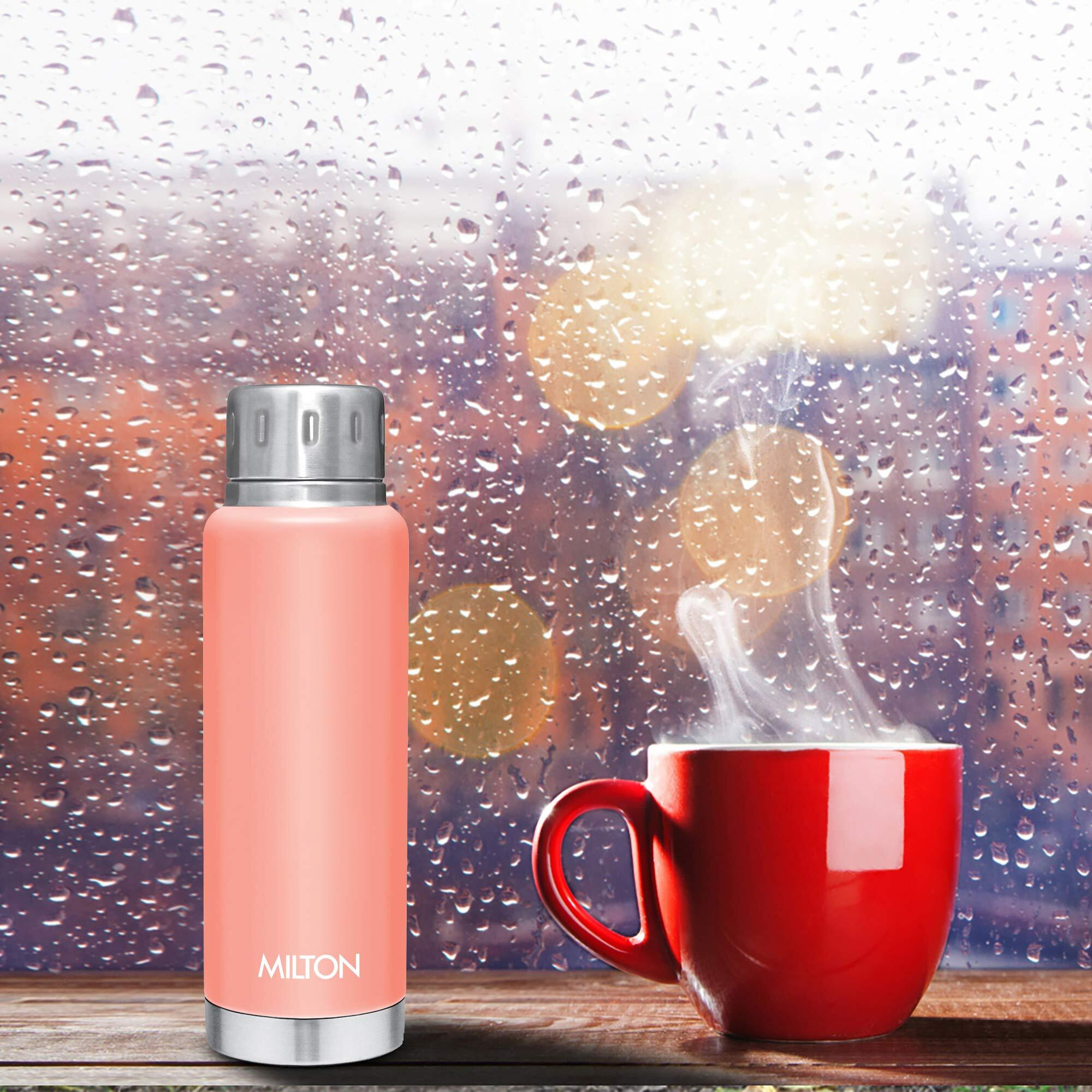 Milton Elfin 300 Thermosteel Bottle, 300 Ml Water Bottles, 24 Hours Hot And Cold, Easy To Carry, Easy Grip, Rust Proof, Tea, Coffee, Office, Travel Bottle, Peach