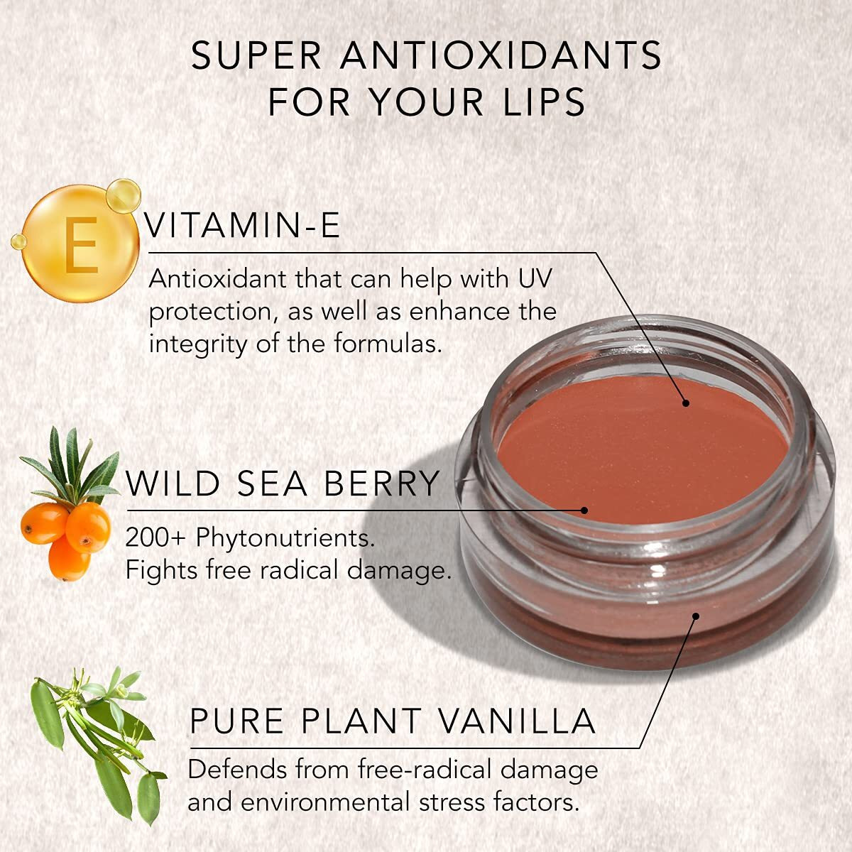 Daughter Earth Vegan Lip And Cheek Tint | Matte Natural Blush For Women | Lip Tint With Vitamin E | Nourishing Cheek Tint, 4.5G - Coffee Nude