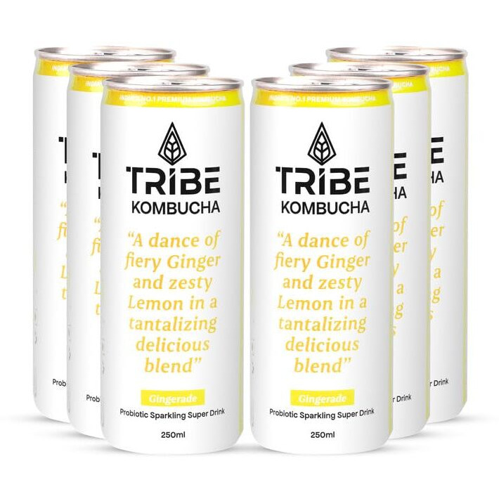 Tribe Kombucha | Weight Management - Detox - Antioxidant | Naturally Sparkling Probiotic Herbal Tea |Green Tea With Ginger & Lemon | Gut Friendly | Gluten Free | Gingerade | Pack Of 7 |250 Ml
