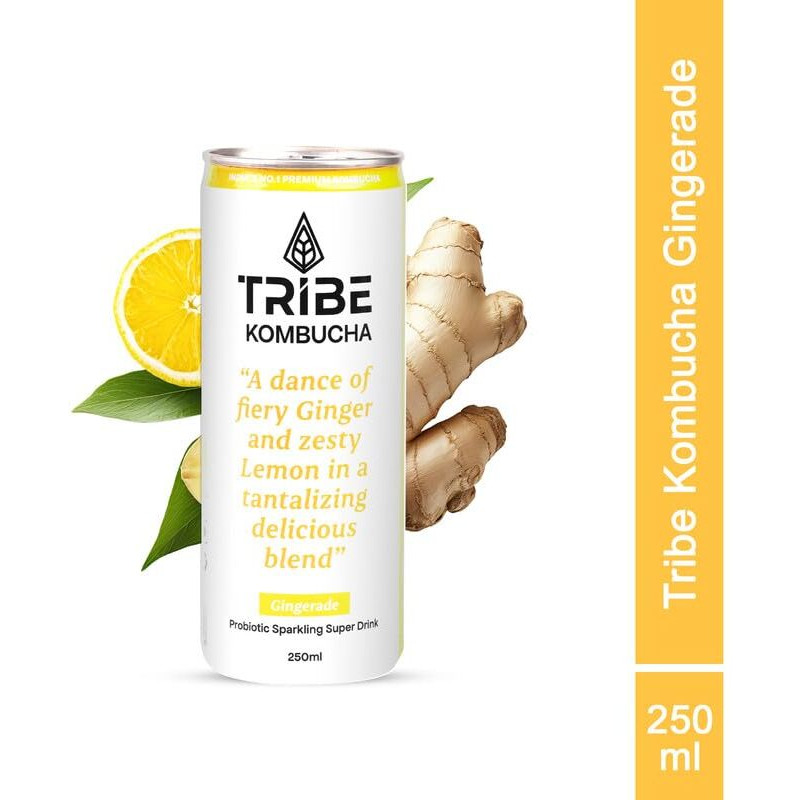 Tribe Kombucha | Weight Management - Detox - Antioxidant | Naturally Sparkling Probiotic Herbal Tea |Green Tea With Ginger & Lemon | Gut Friendly | Gluten Free | Gingerade | Pack Of 7 |250 Ml