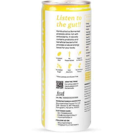 Tribe Kombucha | Weight Management - Detox - Antioxidant | Naturally Sparkling Probiotic Herbal Tea |Green Tea With Ginger & Lemon | Gut Friendly | Gluten Free | Gingerade | Pack Of 7 |250 Ml