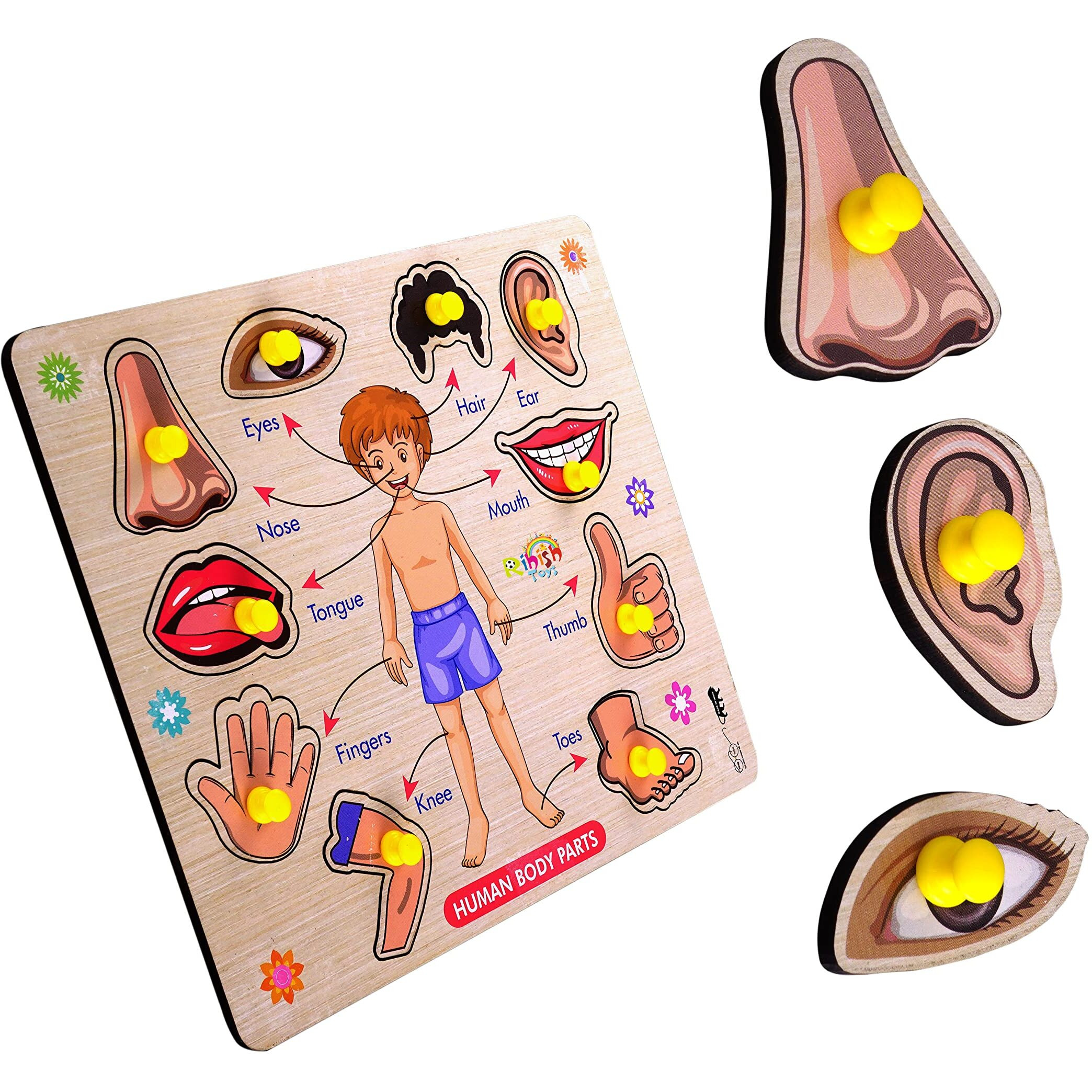 Lefan Body Part Puzzle Kids Wooden Toys For Kids 3 + Jigsaw Puzzles For Adults Baby Learning Toys Educational Toys For 2 Board Game