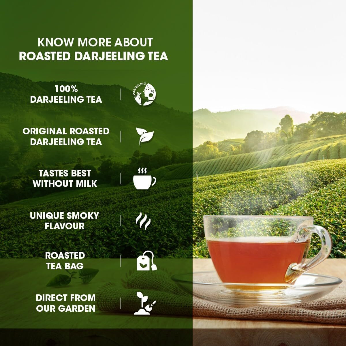 Goodricke Roasted Darjeeling Tea Bags - 25 Teabags (Pack Of 1) | 100% Pure & Original Long Leaf Chai | Flavoury Golden Orange Pekoe | Premium Black Tea With Rich Taste & Flavor